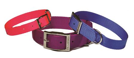 Collar 12 Pulg. Perro Valhoma