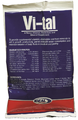 Vital Electrolitos 6oz