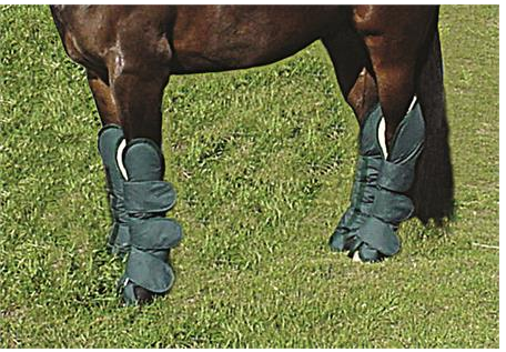 Botas De Transporte Para Caballo