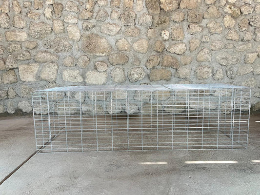 Caminadora para aves